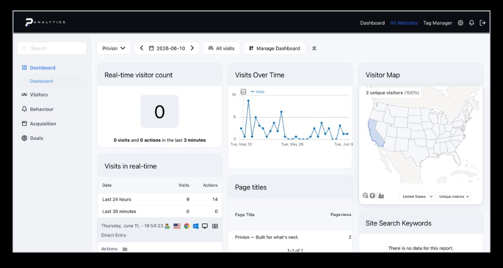 PAnalytics dashboard with real-time visits, engagement trends, and a visitor map